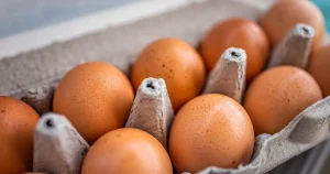 One person dies and hundreds ill after salmonella outbreak in the UK