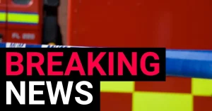 Murder investigation launched after woman dies in Hounslow house fire