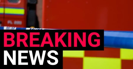 Murder investigation launched after woman dies in Hounslow house fire