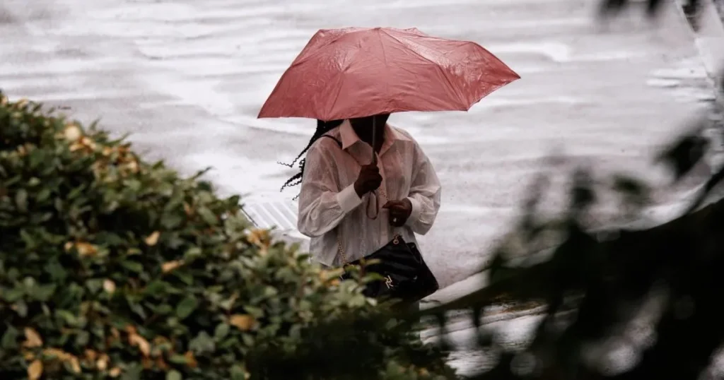 London finally got a bit of rain (but another 1,400,000 have joined the hosepipe ban)