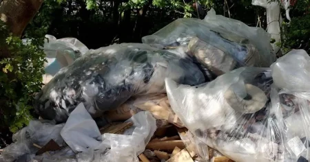 Fly-tipping furniture company caught thanks to dumped pizza receipt