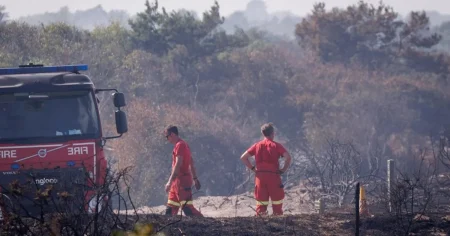 Boy, 12, seen starting four fires in woods just metres from homes