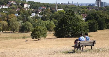 Met Office eyeing up rare extreme heat warning ahead of 36°C temperatures