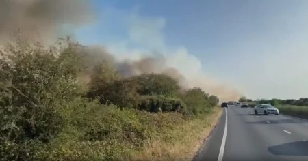 Drivers told to flee cars ‘if you want to stay alive’ after New Forest fire spreads