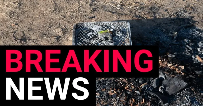 Disposable barbecues temporarily banned due to ‘significant risk to public’