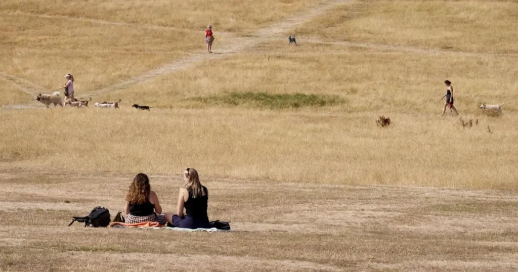Met Office warns sixth heatwave could hit UK in a matter of weeks