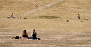 Met Office warns sixth heatwave could hit UK in a matter of weeks