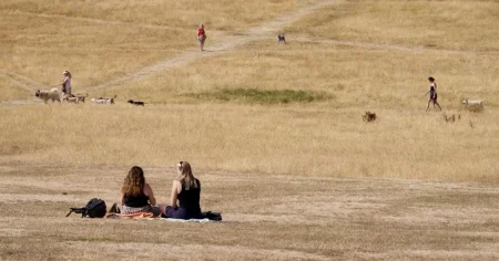 Met Office warns sixth heatwave could hit UK in a matter of weeks