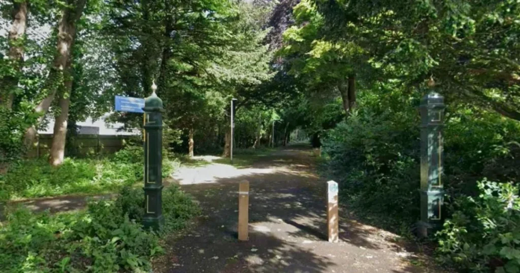 Woman in her 40s ‘raped on woodland path’ with man arrested