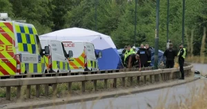 Seven more arrested in the wake of A66 crash, bringing total to 24
