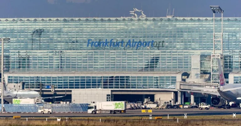 Two airport workers die after being bitten by ‘mosquito on a plane’