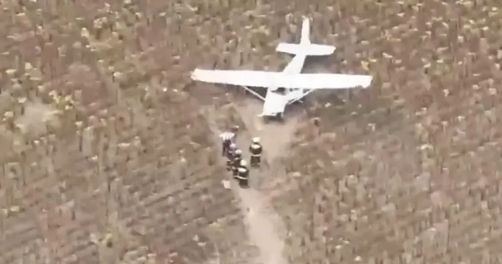 ‘Drunk’ pilot crashes ‘stolen’ Cessna plane near nuclear power plant