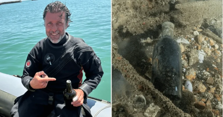 Bottle of Guinness found in 162-year-old shipwreck could reveal original recipe