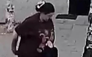 Baby, 1, in pushchair bitten in face by German Shepherd