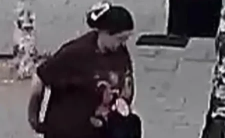 Baby, 1, in pushchair bitten in face by German Shepherd