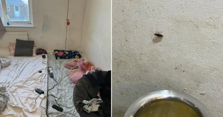 Rogue landlord pair fined after 21 people crammed into house overrun by cockroaches