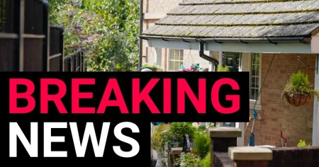Baby girl was stabbed to death in Sheffield home, police reveal