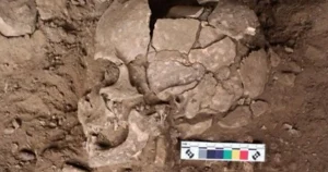 Scientists find the ‘first known humans’ to use psychoactive drugs
