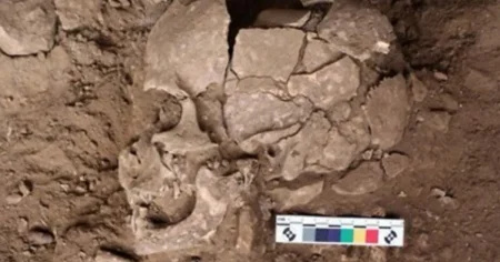 Scientists find the ‘first known humans’ to use psychoactive drugs