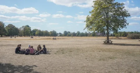 England ‘needs seven months of rain to end drought’ after record-breaking summer