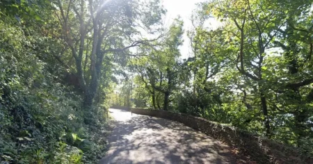 Body of newborn baby found along shoreline in Bangor