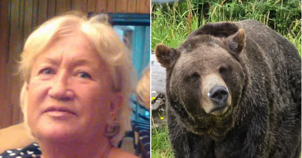 Bear prowls into garden and mauls woman, 66, to death
