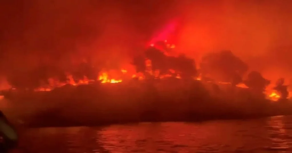 ‘We fled to the sea to escape wildfire surrounding us – ash fell in people’s drinks’