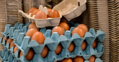 Urgent warning issued after Salmonella found in imported eggs from Ukraine