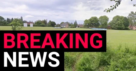 Girl, 11, found dead in park hours after she was reported missing