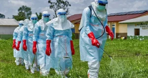 Top health official says the Ebola outbreak could reach the UK