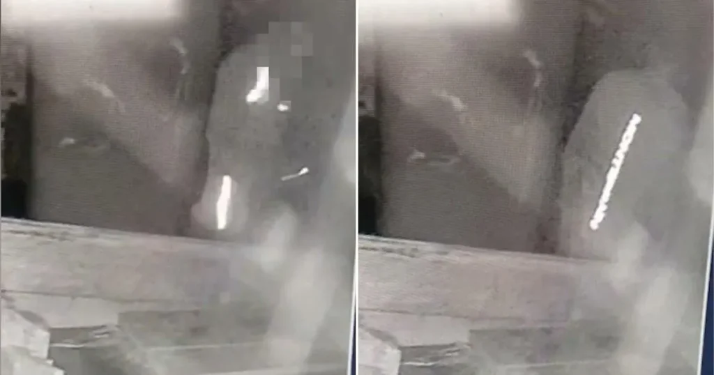 ‘Sadistic’ roofer fed neighbour’s rescued ferrets to his pet dogs