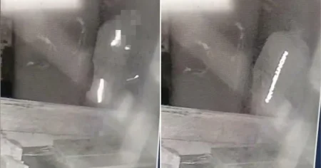 ‘Sadistic’ roofer fed neighbour’s rescued ferrets to his pet dogs