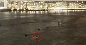 Mysterious unlit boat speeds through the River Thames