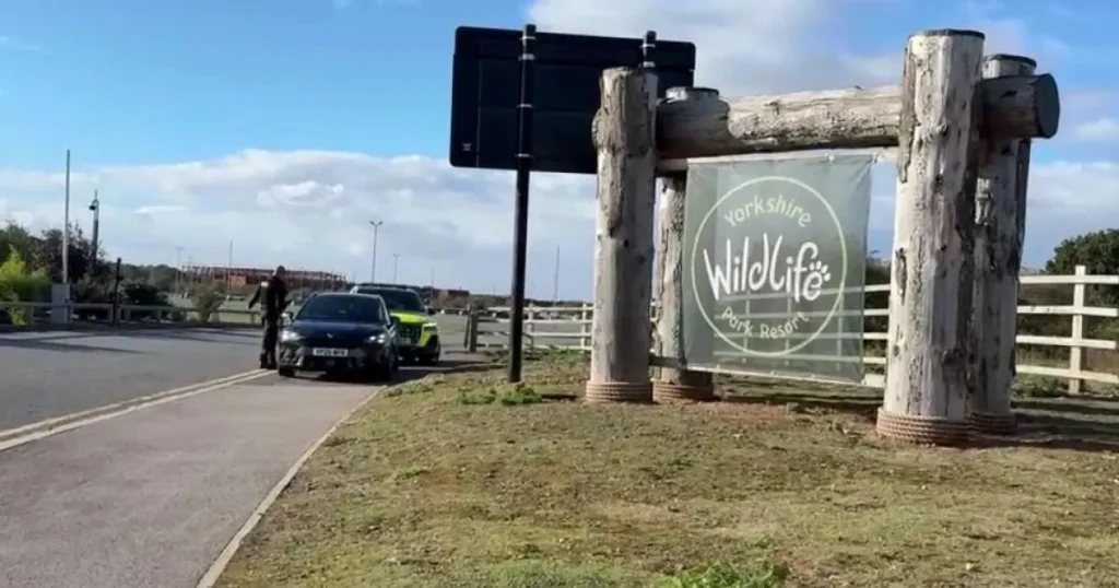 Man dies from serious injuries after ‘jumping into tiger enclosure’ at wildlife park