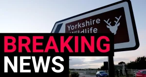 Yorkshire Wildlife Park to remain closed today after man killed by tiger