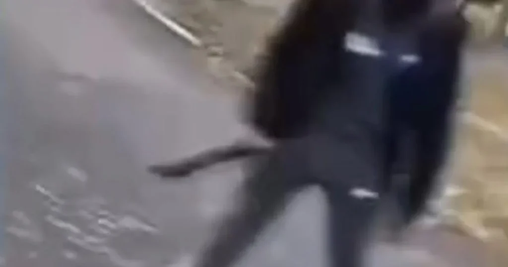 Knife attack ‘streamed live on TikTok’ leaves teens fighting for life