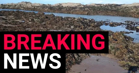 Beachgoer finds ‘World War II torpedo’ near world-famous exclusive golf club