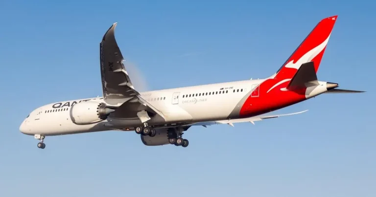 Flight chaos as bedbug outbreak leaves passengers covered in bites