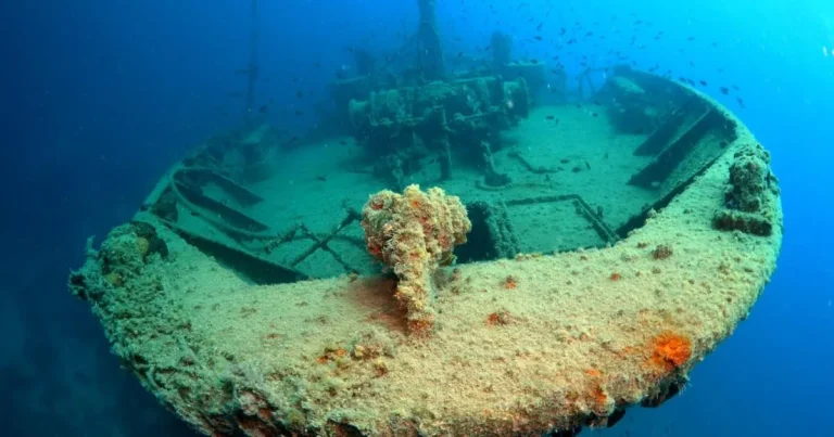 World’s oldest shipwreck found off coast of holiday hotspot