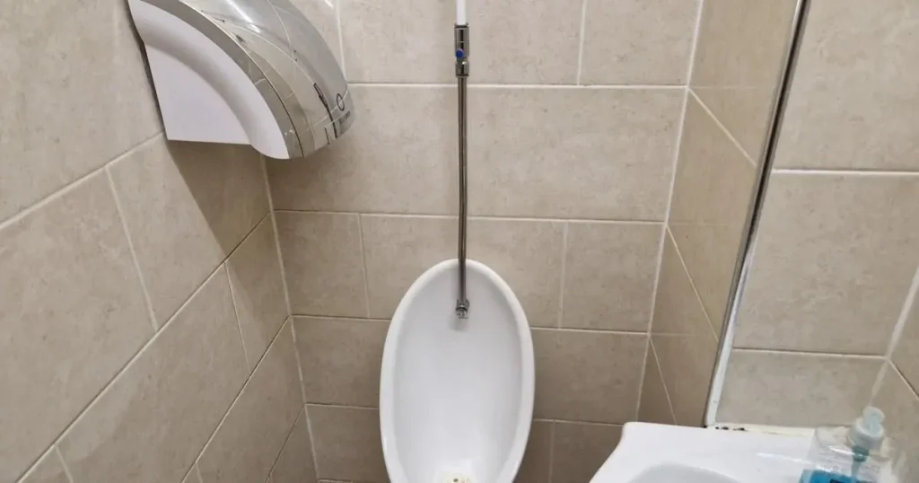 Pub urinal at the centre of Count Binface’s manifesto has been moved in ‘victory’