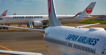 Snake on plane causes flight to be cancelled in first of its kind incident