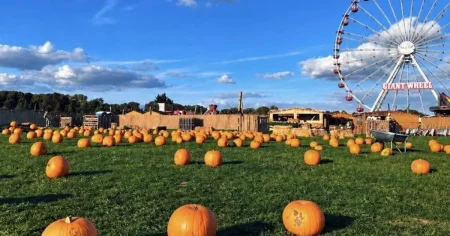 Suffolk’s ‘most depressing pumpkin patch’ event compared to Willy Wonka disaster