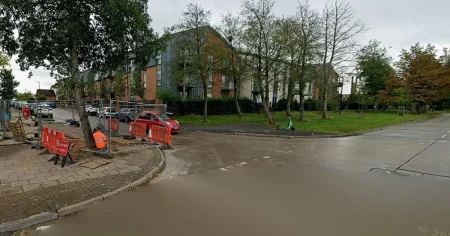 Man in 70s and his dog die after being hit by bus