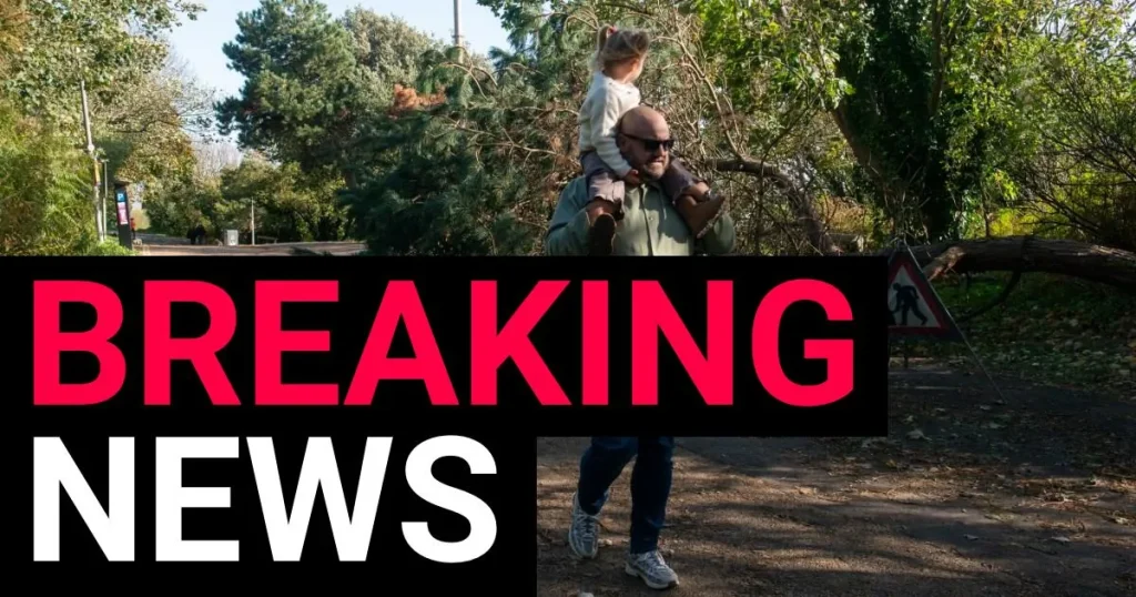 Man, in 60s, killed by falling tree as Storm Boelo turns deadly