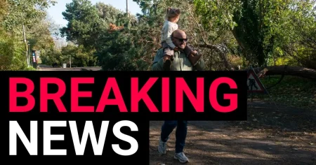 Man, in 60s, killed by falling tree as Storm Boelo turns deadly