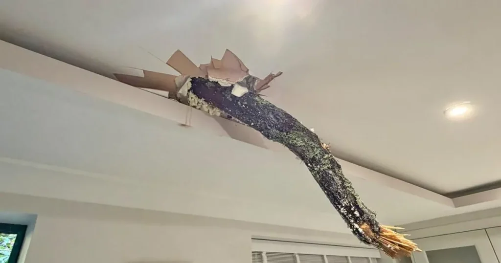 Tree smashes through roof of family home and covers teenager in glass