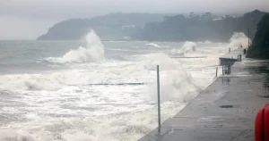 Woman swept out to sea to her death while walking dog on coastal path