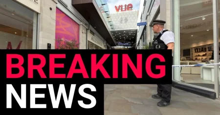 Gunmen open fire on ‘busy’ shopping centre injuring two in north London