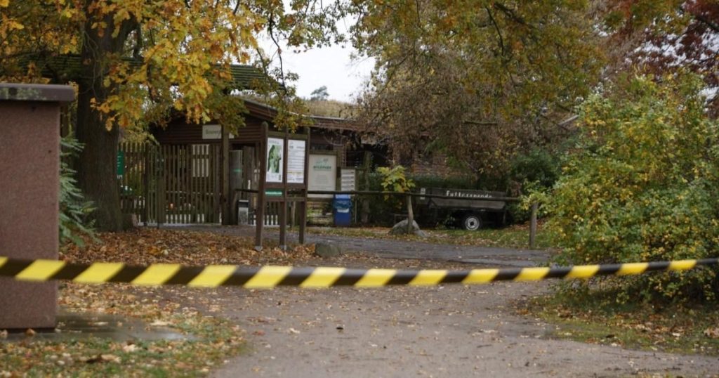 Girl, 8, seriously injured after being attacked by a wolf at a wildlife park in Germany