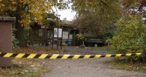 Girl, 8, seriously injured after being attacked by a wolf at a wildlife park in Germany